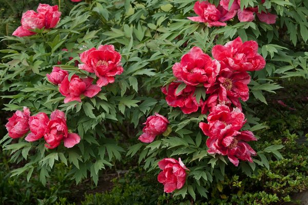 Tout savoir sur electroled : lampes, éclairage et accessoires